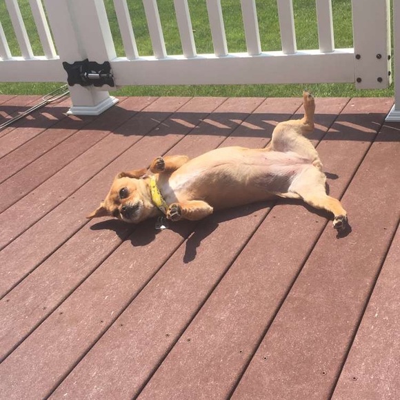 Meet your Posher, Jacquie - Picture 1 of 1